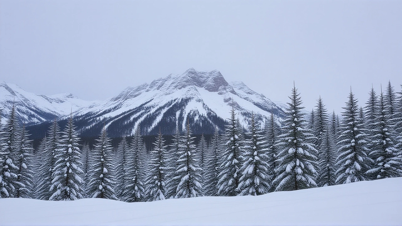 Snowfall Projections by Month